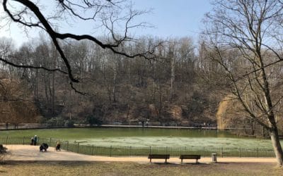 Volkspark Friedrichshain – Spaziergang durch die Geschichte