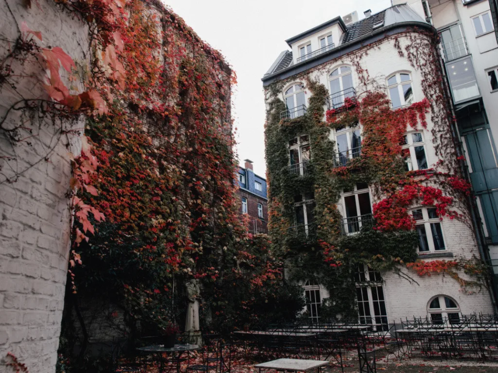 innenhof-im-herbst-rote-ranken-an-der-hauswand