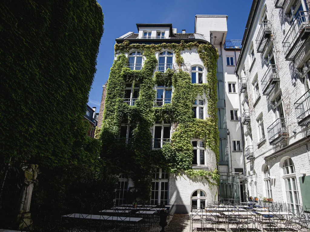 innenhof-im-sommer-gruene-ranken-an-der-hauswand