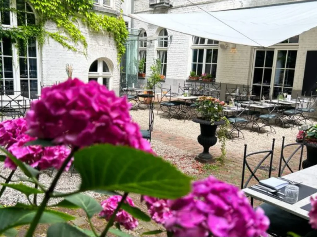 innenhof-ausgefahrenes-segel-pinke-blumenstraeucher