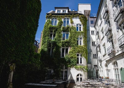 gruen-bewchsene-hauswand-im-innenhof