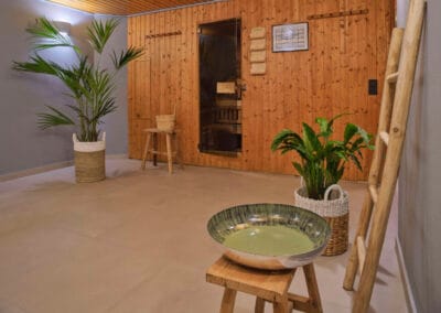 vorderbereich-sauna-gruenpflanzen-saunaeingang