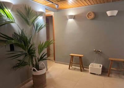 saunabereich-gruenpflanze-fusswaschbecken-hocker