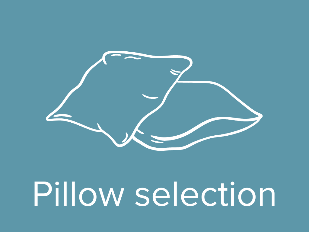 icon-pillow-selection-hotel-alexander-plaza