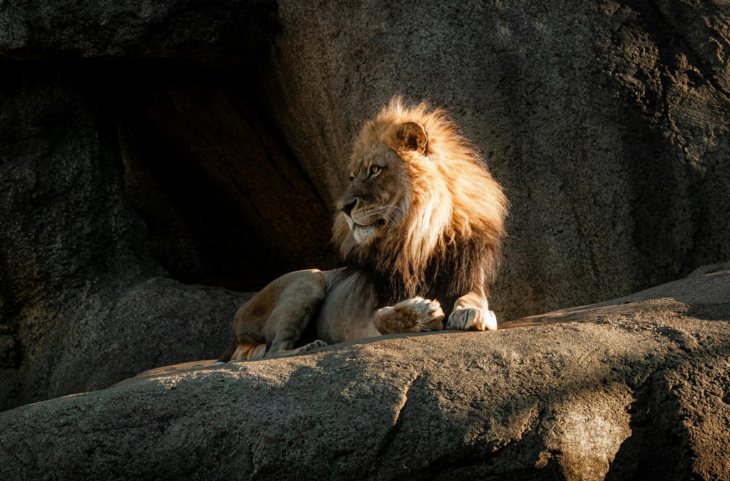 Cologne Zoo: Tips for your visit to Cologne