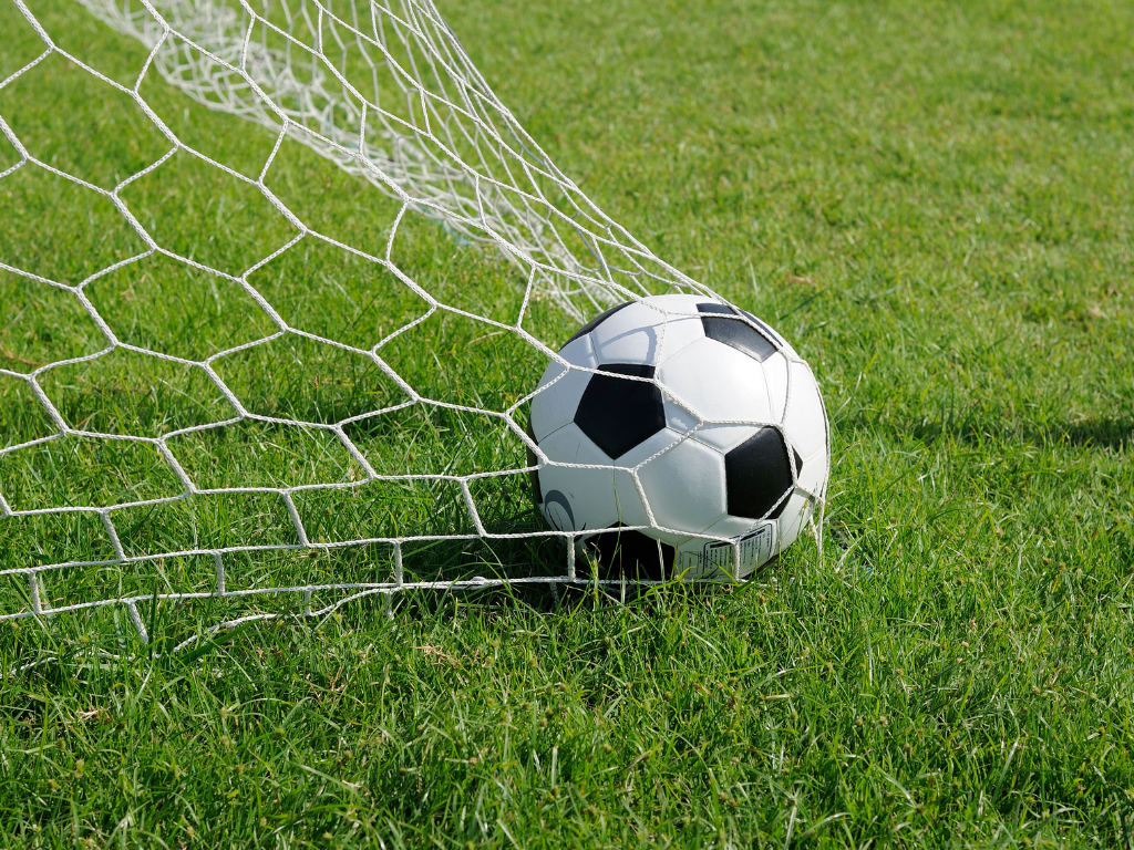 Fussball im Netz