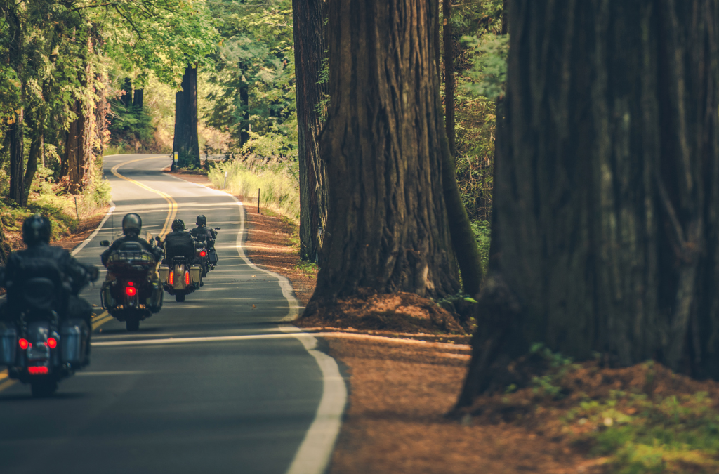 Motorradtouren rund um Magdeburg – unterwegs zwischen Harz, Elbe und Börde