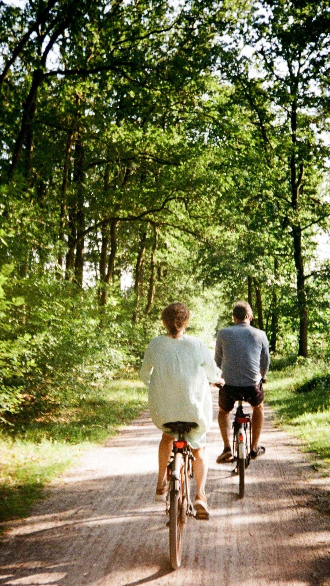 Radfahrer fahren auf einem Waldweg.