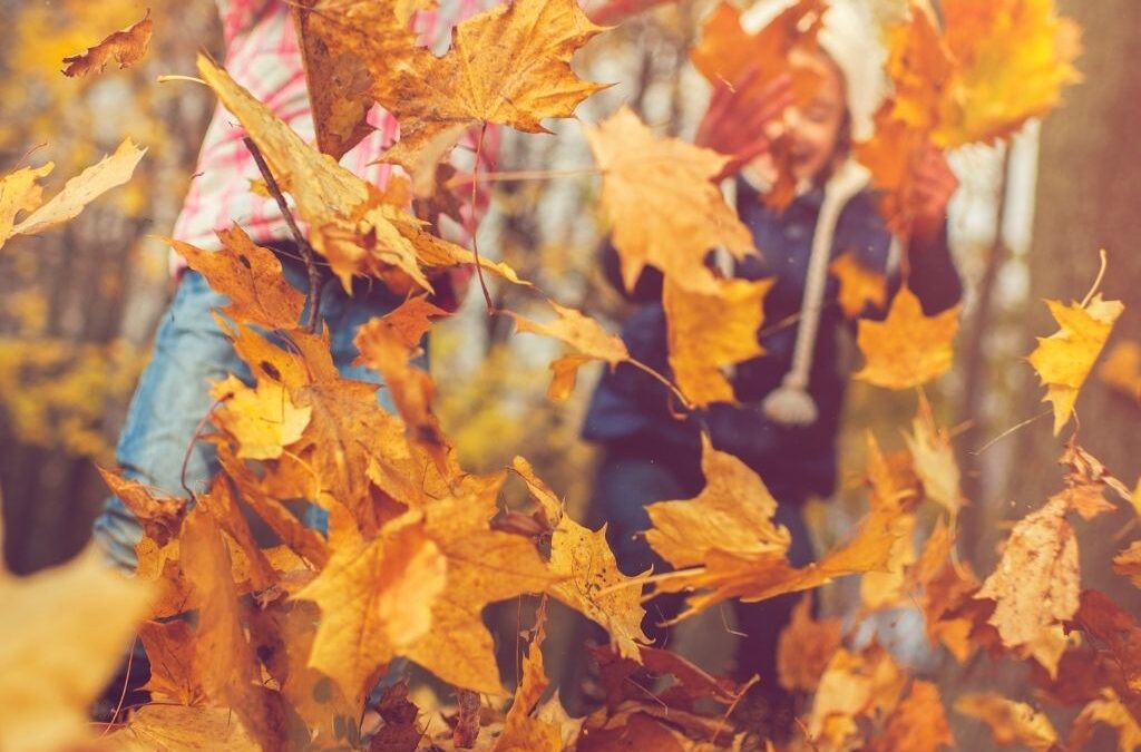 Herbstferien in Köln: Die besten Tipps für einen abwechslungsreichen Familienurlaub