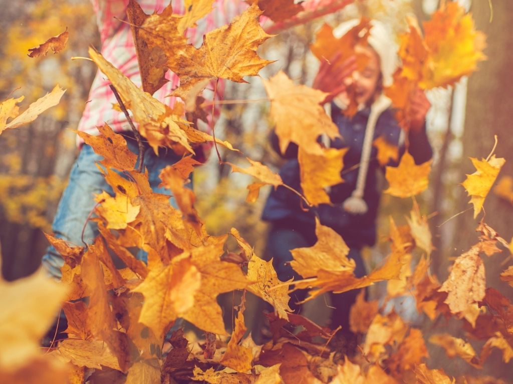 Kinder spielen mit Herbstlaub.