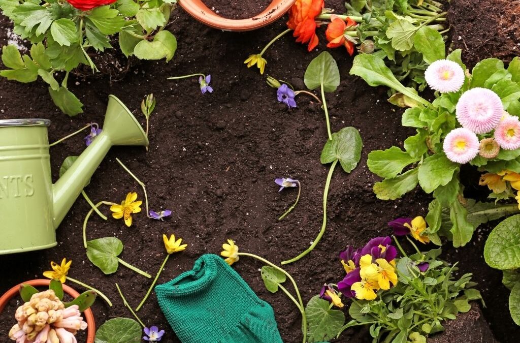Gartenträume Magdeburg – Tipps und Informationen für Ihren Messebesuch