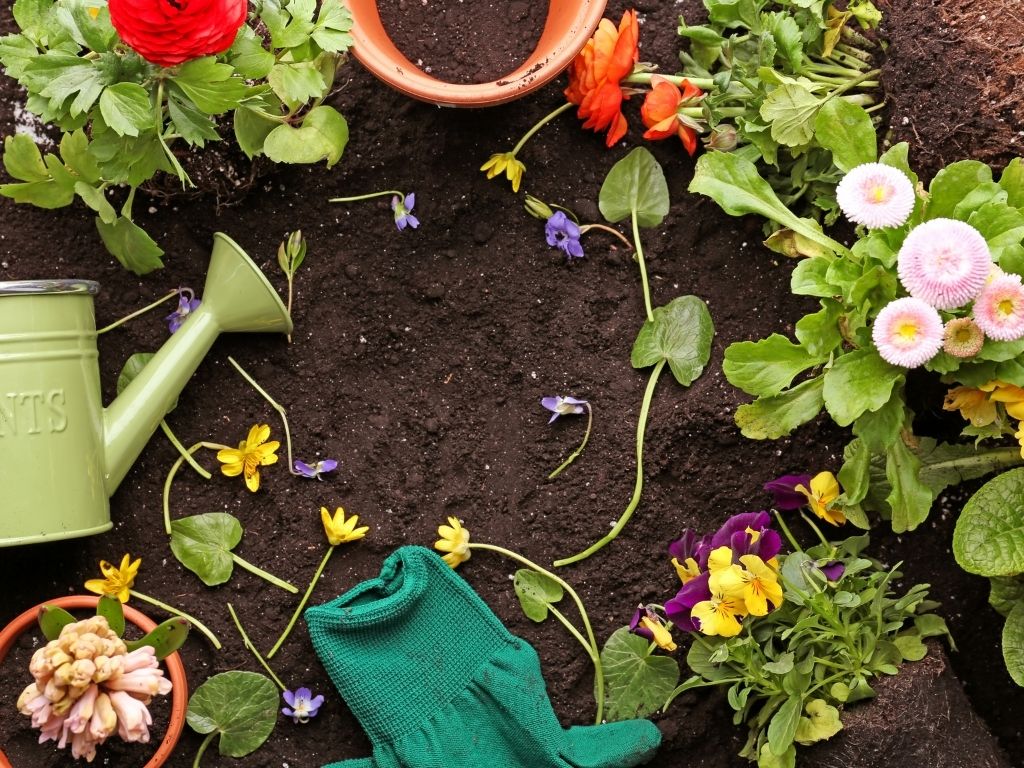 Garten