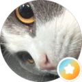 Karl Avatar